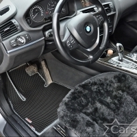 Автомобильные коврики EVA на BMW X3 II F25 (2010-2017)