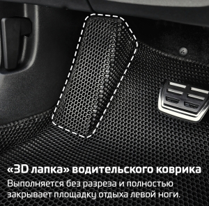 + 3D лапа на водительский коврик