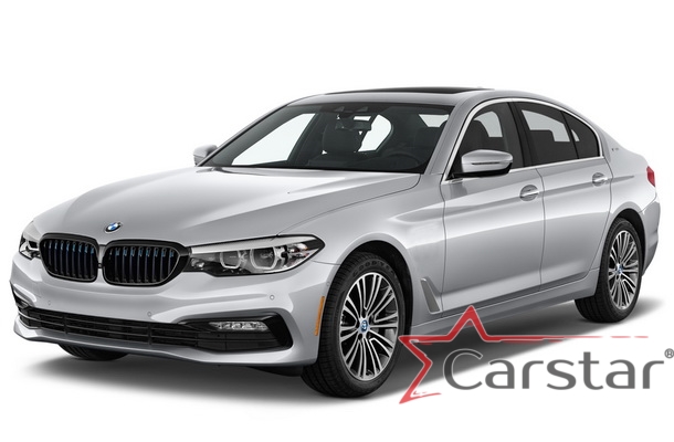 Двухслойные коврики EVA для BMW 5 VII G30 (2016->)