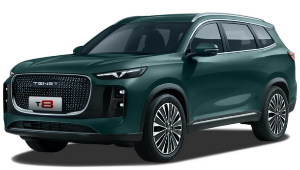 Автомобильные коврики EVA для TENET T8 (2025->)